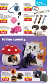 Aldi leaflet week 37 Page 7