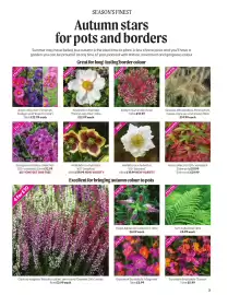 Otter Garden Centres leaflet Page 3