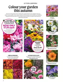Otter Garden Centres leaflet Page 4
