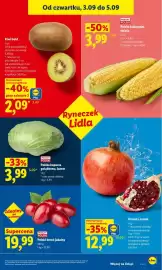 Lidl gazetka Strona 41: Dereń polski jadalny €19,99, Kukurydza polska świeża €3,99