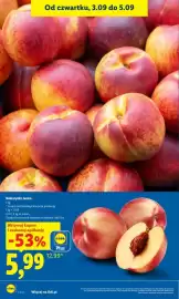 Lidl gazetka Strona 8: Nektarynki luzem €5,99