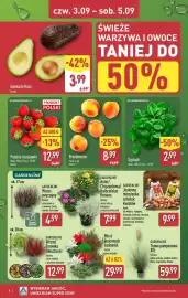 ALDI gazetka tydzień 36 Strona 8: Awokado Hass €3,99, Żurawka Heuchera Gardenline €12,99