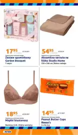 Action gazetka tydzień 36 Strona 21