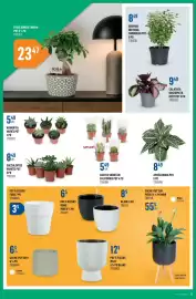 Canac flyer week 36 Page 15