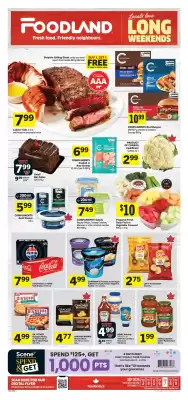 Foodland flyer