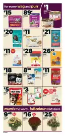 Zehrs Markets weekly ad week 36 Page 11: Caledon Farms dog treats selected varieties €8,50, Iams cat food €20,00