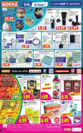 Catalogue Norma semaine 37 page 12: GIAGUARO Double concentré de tomates €0,74, TOPTEX Panier ou bac à linge €4,99