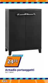 Volantino Action settimana 36 Pagina 27: Armadio portaoggetti €24,75