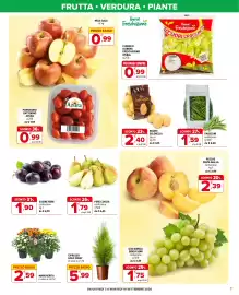 Volantino Iperal Pagina 7: Patate Selenella €2,40, Cipresso Gold Crest €5,99