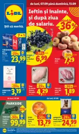 Catalog Lidl săptămâna 37 Pagină 1