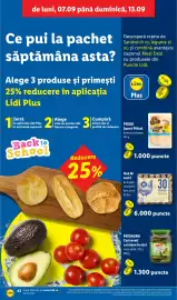 Catalog Lidl săptămâna 37 Pagină 42