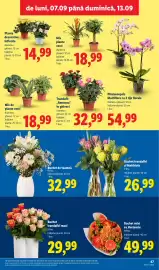 Catalog Lidl săptămâna 37 Pagină 47