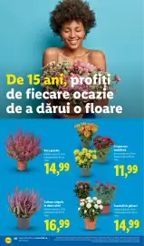 Catalog Lidl săptămâna 37 Pagină 48