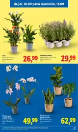 Catalog Lidl săptămâna 37 Pagină 49