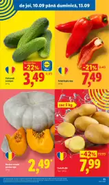 Catalog Lidl săptămâna 37 Pagină 51