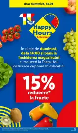 Catalog Lidl săptămâna 37 Pagină 79