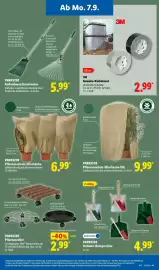 Lidl Prospekt woche 37 Seite 39