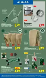 Lidl Prospekt woche 37 Seite 35