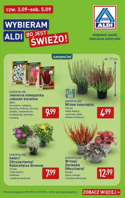 ALDI gazetka (ważność do 5-09)