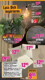 Hornbach Prospekt Seite 21