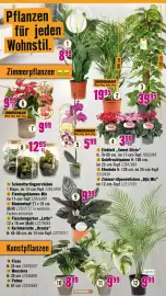 Hornbach Prospekt Seite 22