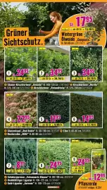 Hornbach Prospekt Seite 28