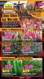 Hornbach Prospekt Seite 29