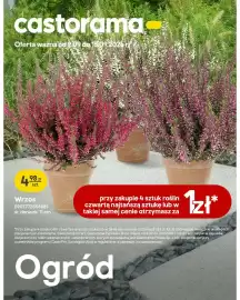 Castorama gazetka Strona 1: Wrzos śr. doniczki 11 cm €4,98