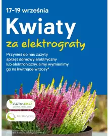 Castorama gazetka Strona 3