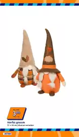 Action folder week 36 Pagina 3: Herfst gnoom €3,99
