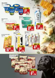 Hala Wola gazetka Strona 13: Mleko Łaciate 2% €2,89, Jogurt Skyr Łaciaty €4,29