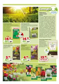 Volantino TuttoGiardino Pagina 2