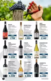 Interspar akciós újság | Alkohole Oldal 10