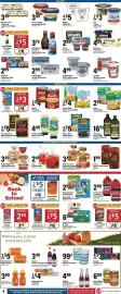 Big Y flyer week 36 Page 6: Bush's Best Recipe Beans €5,00, Nature's Own Perfectly Crafted Brioche Style Hamburger Buns €4,99