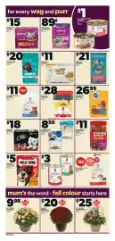 Independent Grocer flyer week 36 Page 12: Caledon Farms dog treats €8,50, Tidy Cats cat litter €28,00