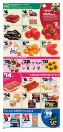 Independent Grocer flyer week 36 Page 4: Schneiders sliced bologna €4,00, Eggplant €5,00