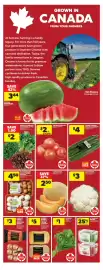 Real Canadian Superstore flyer week 36 Page 15: Farmer's Market white or yellow potatoes €5,00
