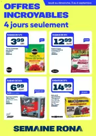 RONA flyer Page 1