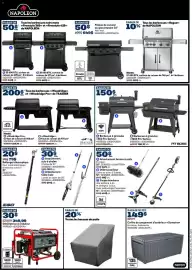 RONA flyer Page 12