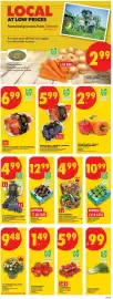 No Frills flyer week 35 Page 3