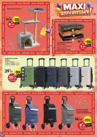 Catalogue Maxi Bazar page 19: Valise French World €20,99, R Coussin chien simili cuir €9,99