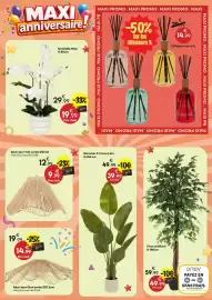 Catalogue Maxi Bazar page 9: Lora Bananier 3 troncs €39,99, Vito Abat-jour corde €9,99