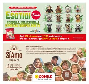 Volantino Conad Superstore settimana 36 Pagina 8