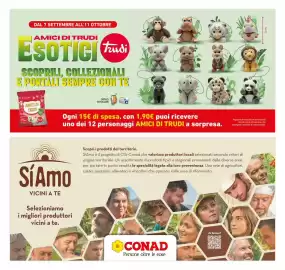 Volantino Conad Superstore settimana 36 Pagina 8