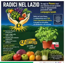 Volantino Pewex Pagina 7