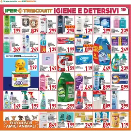 Volantino Iper Triscount Pagina 19: Tonkita panno pavimenti super morbido €0,89, Chilly deodorante intimo fresco €3,49