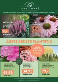 Plantorama tilbudsavis Side 1: KRYSANTEMUM €34,95, Knoplyng €9,00