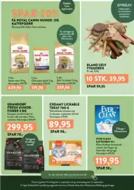 Plantorama tilbudsavis Side 10: Ever Clean kattegrus 10 L €119,95, Creamy Lickable Treat 700 g €89,95