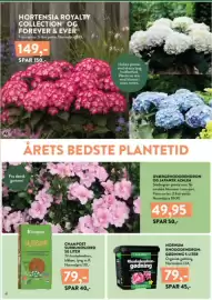 Plantorama tilbudsavis Side 4: Champost Surbundsjord 50 liter €79,00, Hornum Rhododendron-gødning 5 liter €79,00