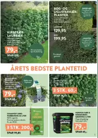 Plantorama tilbudsavis Side 5: Bunddække-planter €79,00, Efeu €60,00
